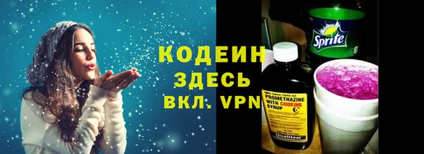сатива Балахна
