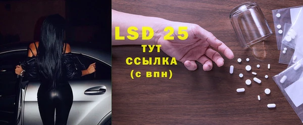 сатива Балахна