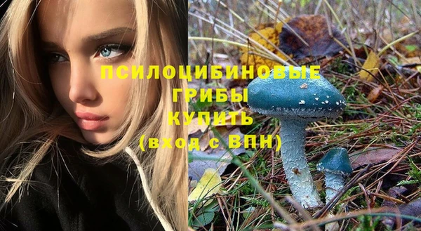 сатива Балахна